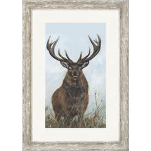 Load image into Gallery viewer, Sinclair
