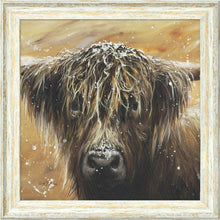 Load image into Gallery viewer, Snowy Hamish