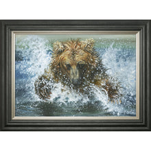 Load image into Gallery viewer, Splash and Grab