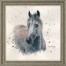 Load image into Gallery viewer, Star