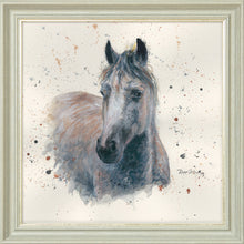 Load image into Gallery viewer, Star