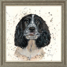 Load image into Gallery viewer, Steel