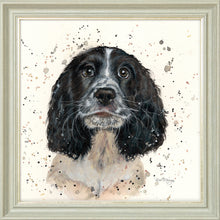 Load image into Gallery viewer, Steel