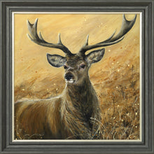 Load image into Gallery viewer, Sterling