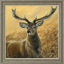 Load image into Gallery viewer, Sterling