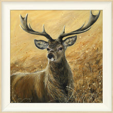Load image into Gallery viewer, Sterling