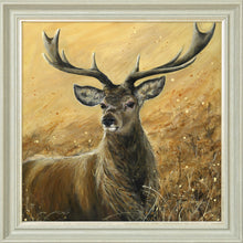 Load image into Gallery viewer, Sterling