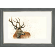 Load image into Gallery viewer, Sutherland