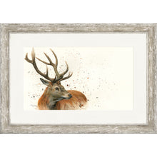 Load image into Gallery viewer, Sutherland