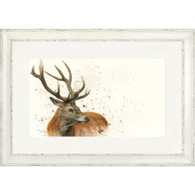 Load image into Gallery viewer, Sutherland