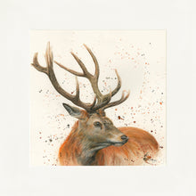 Load image into Gallery viewer, Sutherland