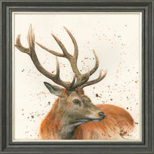 Load image into Gallery viewer, Sutherland