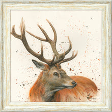 Load image into Gallery viewer, Sutherland