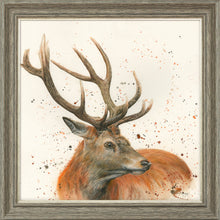 Load image into Gallery viewer, Sutherland