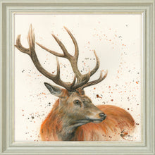 Load image into Gallery viewer, Sutherland