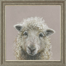 Load image into Gallery viewer, Suzy