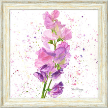 Load image into Gallery viewer, Sweet Peas