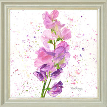 Load image into Gallery viewer, Sweet Peas