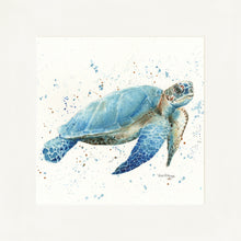 Load image into Gallery viewer, Tarquin