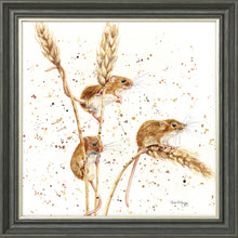 Load image into Gallery viewer, The Grain Gang
