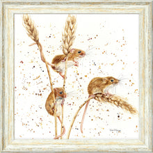 Load image into Gallery viewer, The Grain Gang