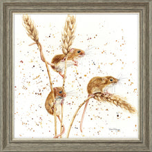 Load image into Gallery viewer, The Grain Gang