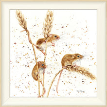 Load image into Gallery viewer, The Grain Gang