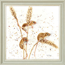 Load image into Gallery viewer, The Grain Gang