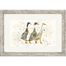 Load image into Gallery viewer, The Three Duckgrees