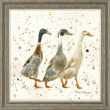 Load image into Gallery viewer, The Three Duckgrees