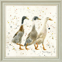 Load image into Gallery viewer, The Three Duckgrees