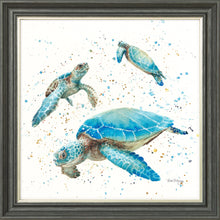 Load image into Gallery viewer, The Turtle Tribe