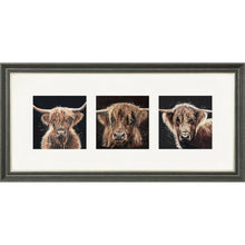 Load image into Gallery viewer, The Auld Chestnuts