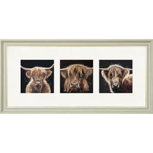 Load image into Gallery viewer, The Auld Chestnuts