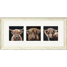 Load image into Gallery viewer, The Auld Chestnuts