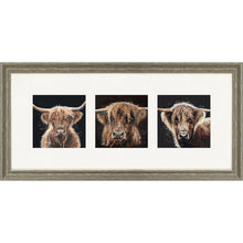 Load image into Gallery viewer, The Auld Chestnuts