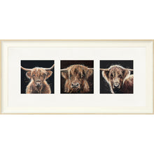 Load image into Gallery viewer, The Auld Chestnuts