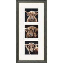 Load image into Gallery viewer, The Auld Chestnuts