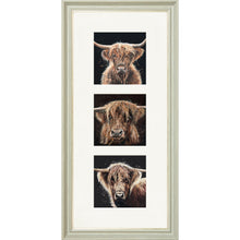 Load image into Gallery viewer, The Auld Chestnuts