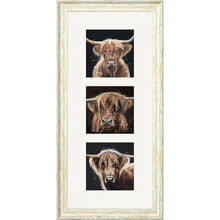 Load image into Gallery viewer, The Auld Chestnuts