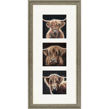 Load image into Gallery viewer, The Auld Chestnuts