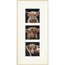 Load image into Gallery viewer, The Auld Chestnuts