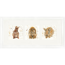 Load image into Gallery viewer, The Bunnies