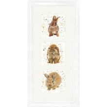 Load image into Gallery viewer, The Bunnies