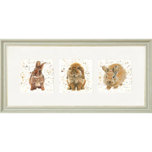 Load image into Gallery viewer, The Bunnies