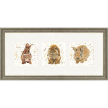 Load image into Gallery viewer, The Bunnies