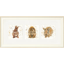 Load image into Gallery viewer, The Bunnies