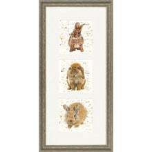 Load image into Gallery viewer, The Bunnies