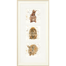 Load image into Gallery viewer, The Bunnies