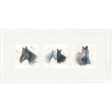 Load image into Gallery viewer, The Equines